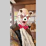 a19vges005-2019-02-09_12
