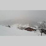 c19j000-2019-02-11_66