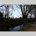 f19csonne000-20190106_162444