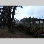 f19csonne001-20190106_163147