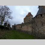 f19csonne003-20190106_165340