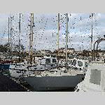 h19mtgne005-20190109_105748