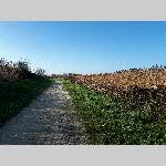 h19mtgne012-20190109_120714