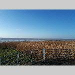 h19mtgne015-20190109_122057