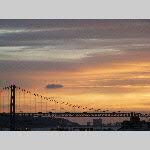 a19j091-20191023_185017