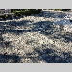 c19j076-20191025_143503
