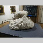 h19mnaa004-20191026_162833
