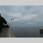j19mu005-20191027_150041
