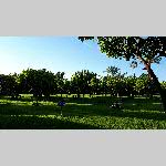 b19mkech029-20190424_185904