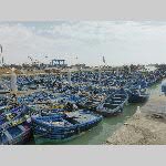 d19ess008-P1080369