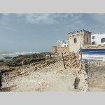 d19ess022-P1080365