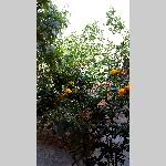 f19tim014-20190501_163913