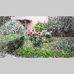 g19dad039-20190502_170640