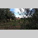 g19dad041-20190502_181056