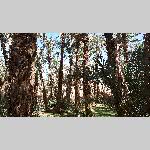 h19draa027-20190504_103643