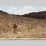 h19draa035-20190504_151107
