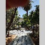 j19mkech022-20190508_113259-2