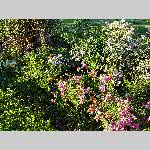 j19mkech051-20190509_182829