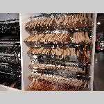 d19bhv004-20190122_122426