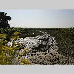 c19re020-20190411_163828
