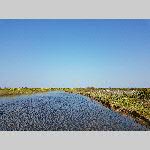 c19re023-20190411_164559