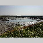 c19re025-20190411_165614