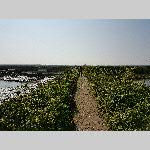 c19re026-20190411_165622