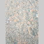 c19re031-20190411_203047