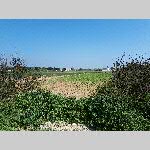 c19re038-20190412_122239