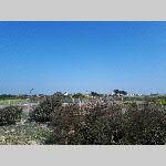 c19re039-20190412_122603