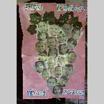 c19msac015-20190922_174756
