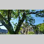 a19hbye-20190531_387
