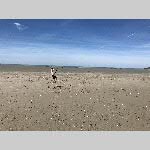 a19sdi-20190601_473