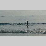 a19sdi-20190601_612