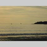 a19sdi-20190601_665