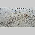 a19sept-20190530_53