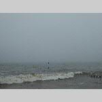 c19j006-20190612_113441_P1060606