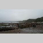 c19j025-20190612_155227