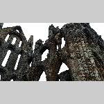 d19j021-20190613_111650