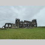 d19j024-20190613_112242_P1060645
