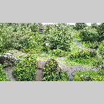 f19j009-20190614_124531