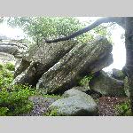 f19j014-20190614_125046_P1060706