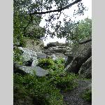 f19j015-20190614_125151_P1060707