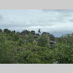 f19j020-20190614_125812_P1060712