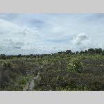 f19j033-20190614_133321_P1060721