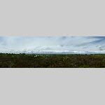 f19j035-20190614_133342_P1060723