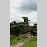 f19j043-20190614_141159