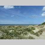 i19leff006-20190616_165028_P1060796