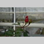 a20delle-DSC_0736