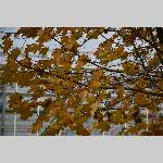 a20delle-DSC_0738